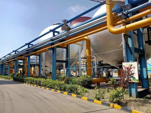 綠色環保，從“鑫”出發 化妝品行業的可持續發展之路