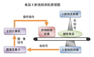 食品生物技術(shù)的發(fā)展趨勢(shì)與技術(shù)咨詢展望