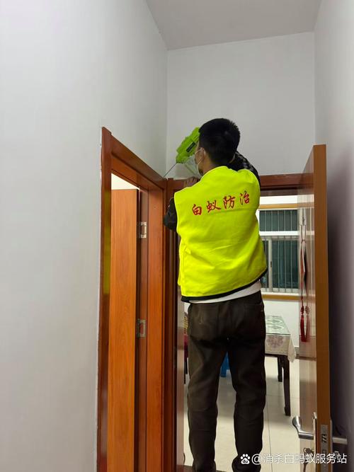 溧陽白蟻防治全指南 專業(yè)服務(wù)與咨詢電話詳解