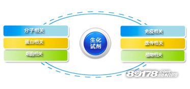 創業良機 加盟和興生物，搶占大健康產業藍海